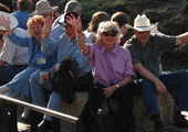 Hayride