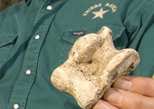 Interactive Archeology