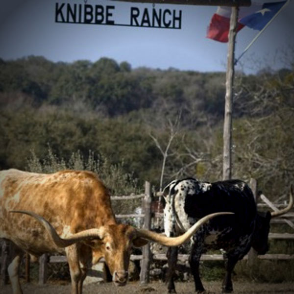 About Knibbe Ranch